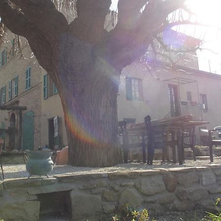 B&B Reillys Montecarotto Buitenkant foto