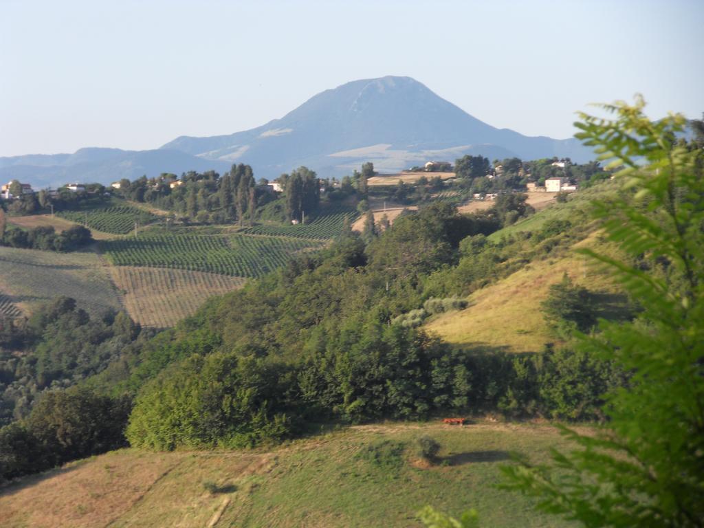 B&B Reillys Montecarotto Buitenkant foto