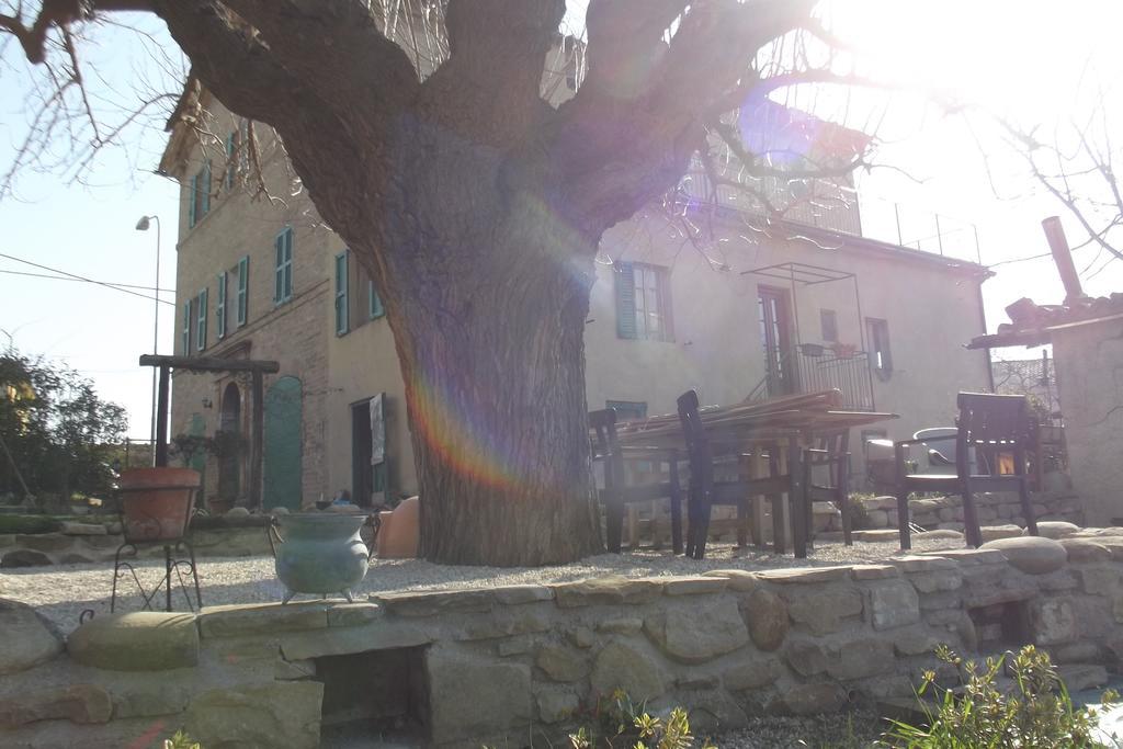 B&B Reillys Montecarotto Buitenkant foto